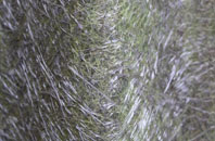 Tilford Common fibreglass roof work